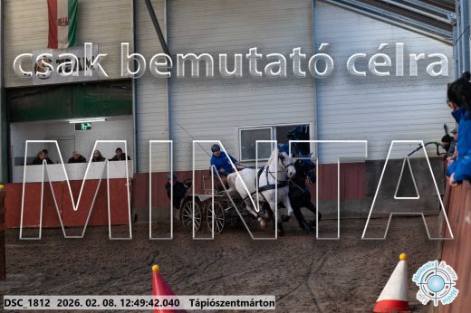 Mintakép 20260208-1850
