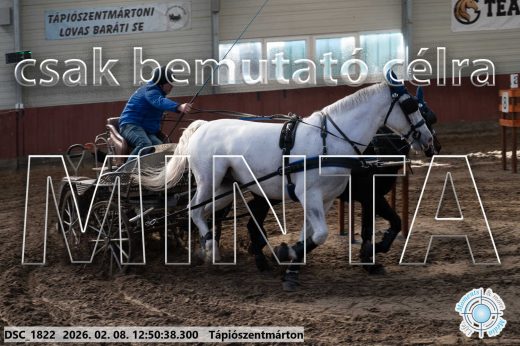 Mintakép 20260208-1859