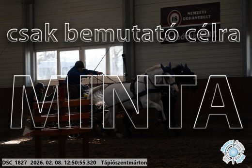 Mintakép 20260208-1861