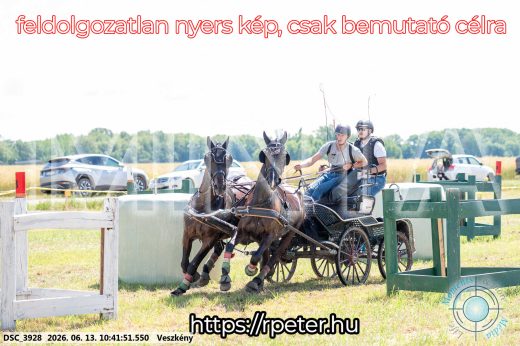 Mintakép 20260613-653