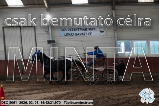 Mintakép 20260208-1868