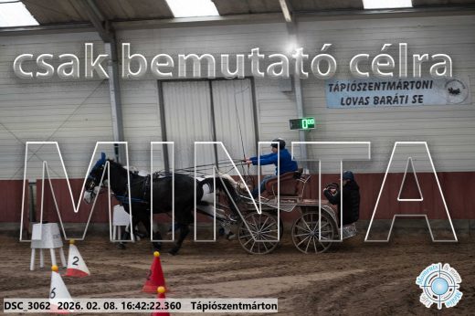 Mintakép 20260208-1869