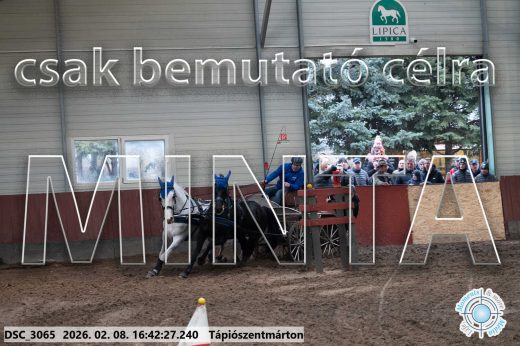 Mintakép 20260208-1872