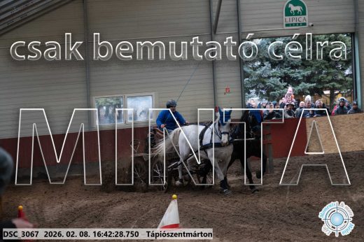 Mintakép 20260208-1874