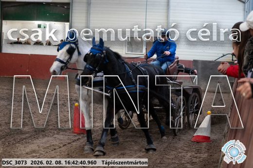 Mintakép 20260208-1880