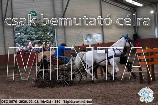 Mintakép 20260208-1883