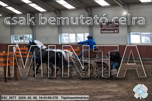 Mintakép 20260208-1884