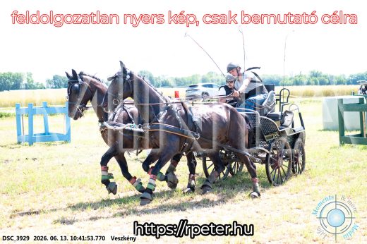 Mintakép 20260613-655