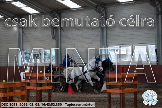 Mintakép 20260208-1896