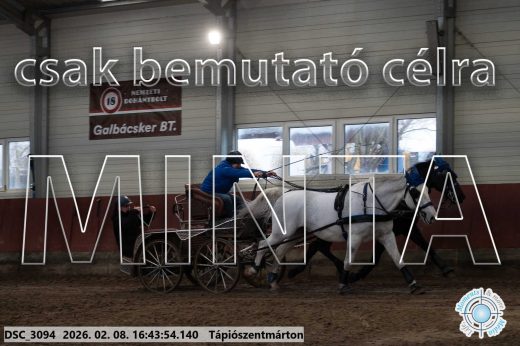 Mintakép 20260208-1899