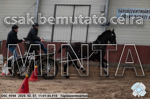 Mintakép 20260207-1117