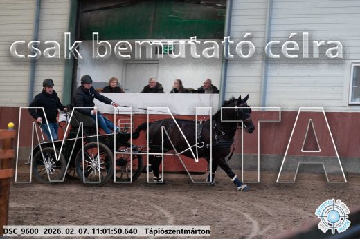 Mintakép 20260207-1118