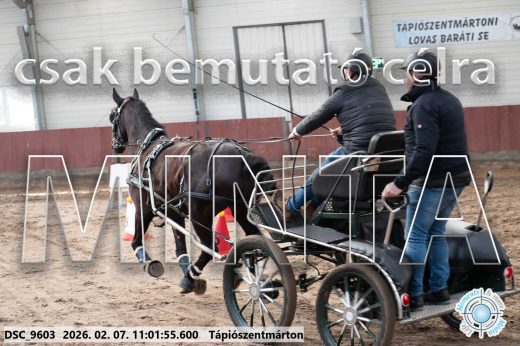 Mintakép 20260207-1121