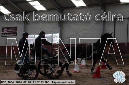 Mintakép 20260207-1122