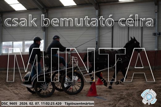 Mintakép 20260207-1123