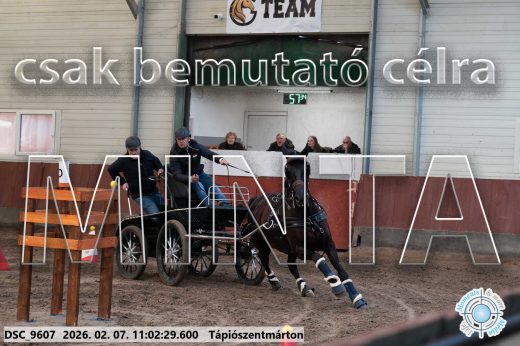 Mintakép 20260207-1124