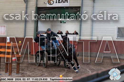 Mintakép 20260207-1125