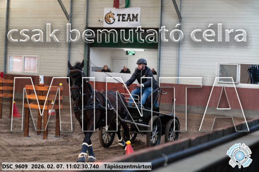 Mintakép 20260207-1126
