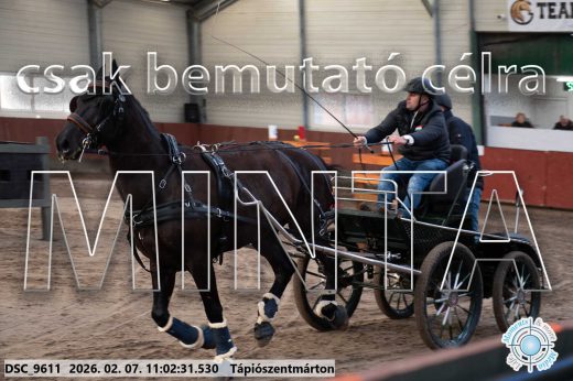 Mintakép 20260207-1128