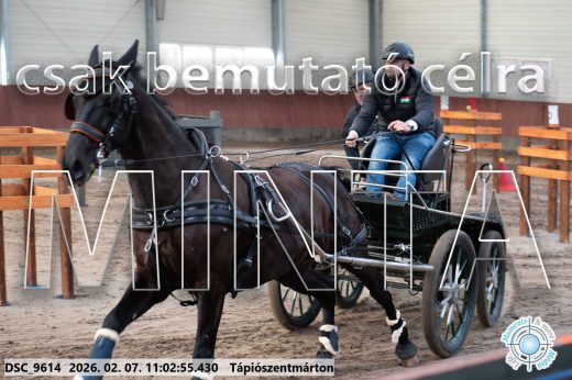 Mintakép 20260207-1130