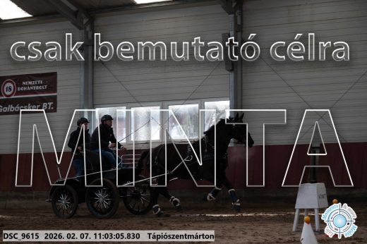 Mintakép 20260207-1131