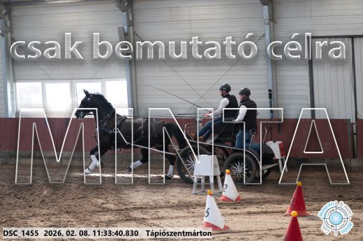 Mintakép 20260208-1902