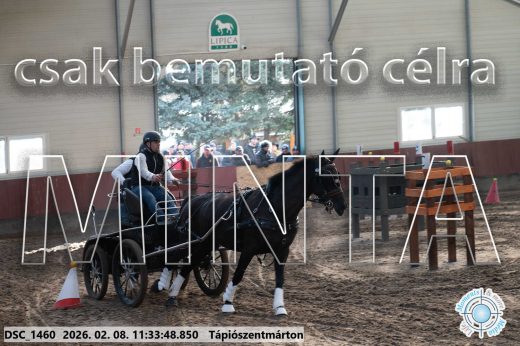 Mintakép 20260208-1906