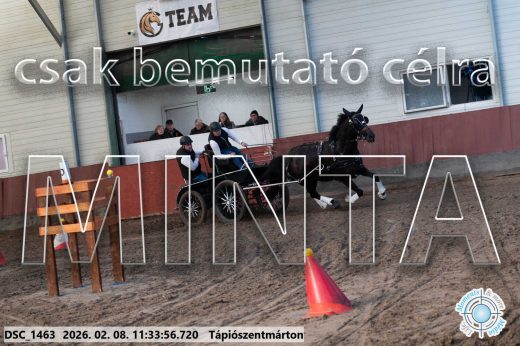 Mintakép 20260208-1908