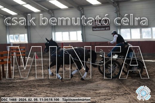 Mintakép 20260208-1911