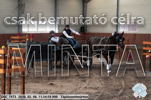 Mintakép 20260208-1917