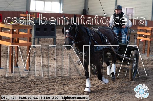 Mintakép 20260208-1918