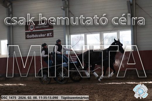 Mintakép 20260208-1919