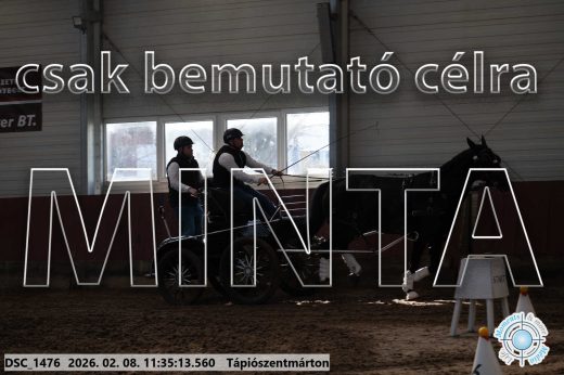 Mintakép 20260208-1920