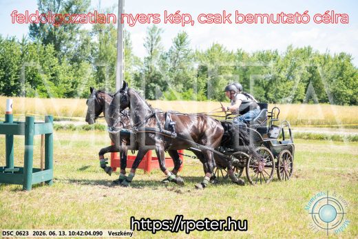 Mintakép 20260613-661