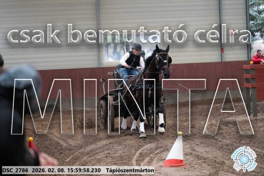 Mintakép 20260208-1929