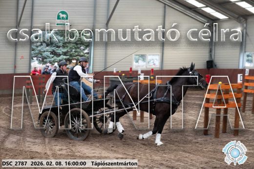 Mintakép 20260208-1930