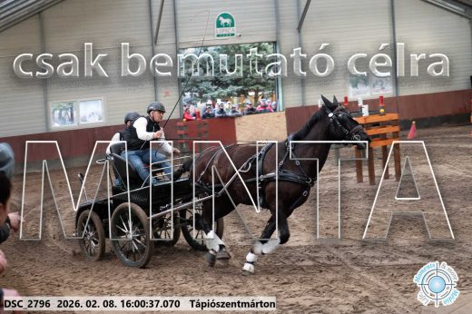Mintakép 20260208-1938
