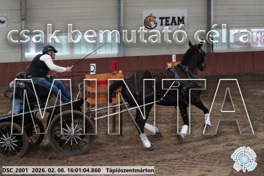 Mintakép 20260208-1942