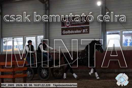 Mintakép 20260208-1946