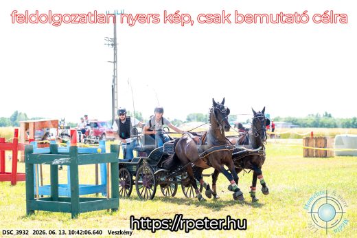 Mintakép 20260613-663