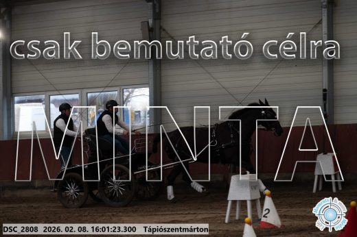 Mintakép 20260208-1949