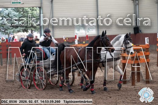 20260207-145339-DSC_0536.jpg