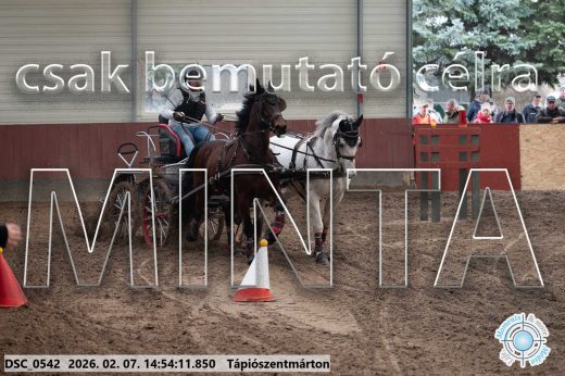 Mintakép 20260207-1136