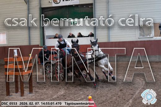 Mintakép 20260207-1145