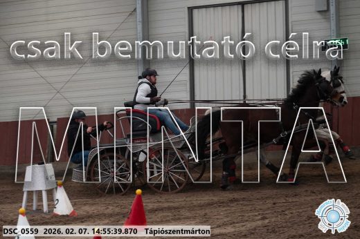 Mintakép 20260207-1149