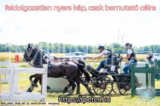 Mintakép 20260613-665