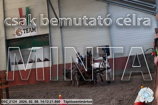 Mintakép 20260208-1958