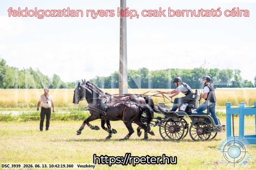 Mintakép 20260613-667