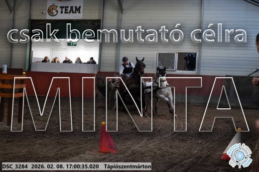 Mintakép 20260208-1980