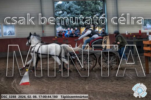 Mintakép 20260208-1984